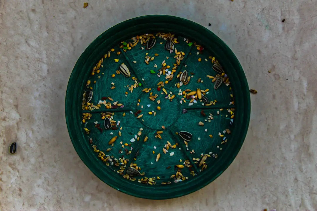 Spotting Authentic Thai Amulets: Your Essential Guide - Thai Blessing Co By RURUECHA