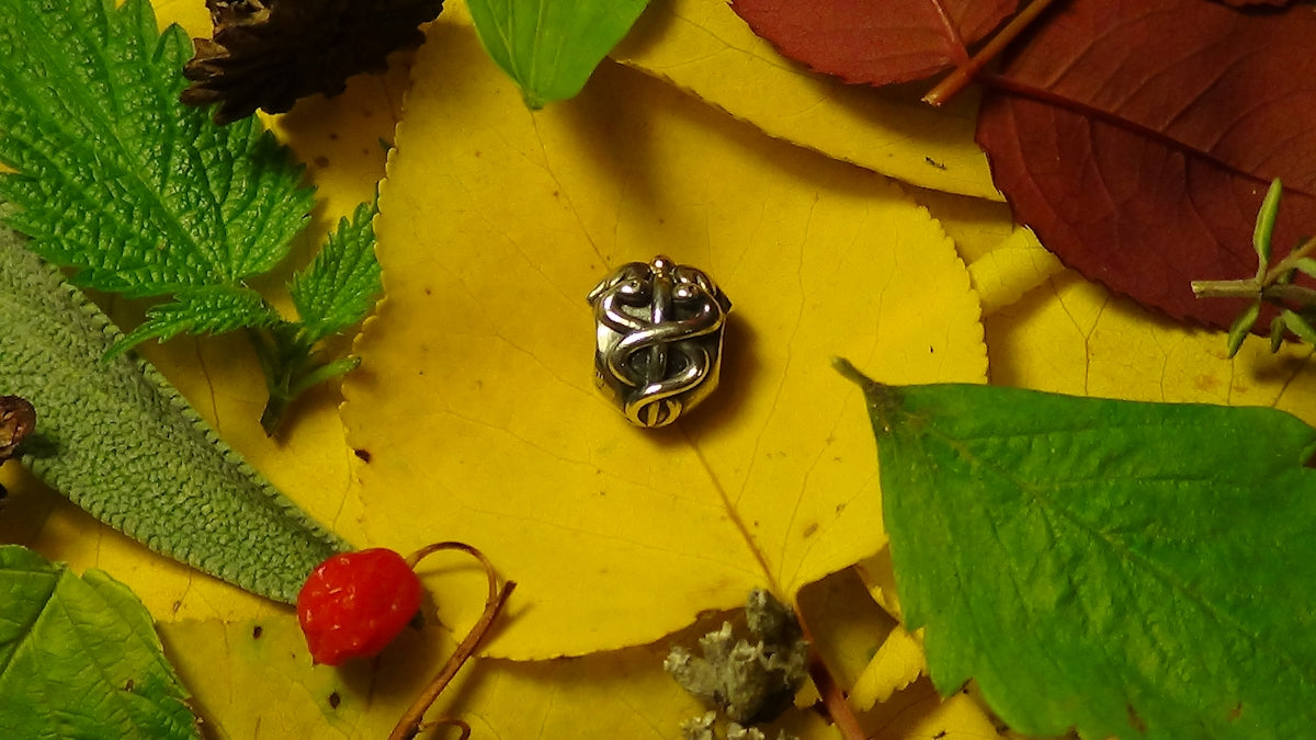 A silver charm rests on a bed of autumn leaves.