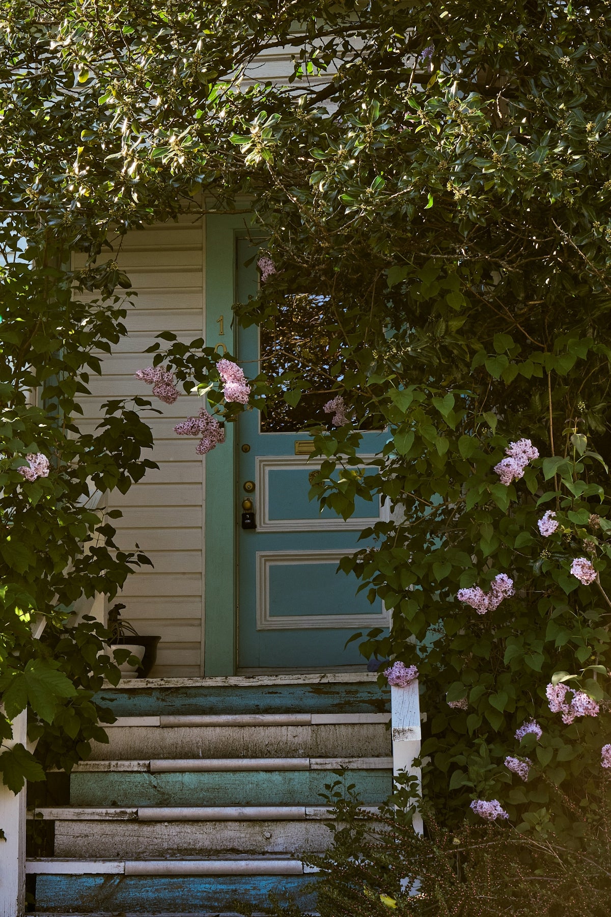 Charming blue door with worn steps and pink flowers.