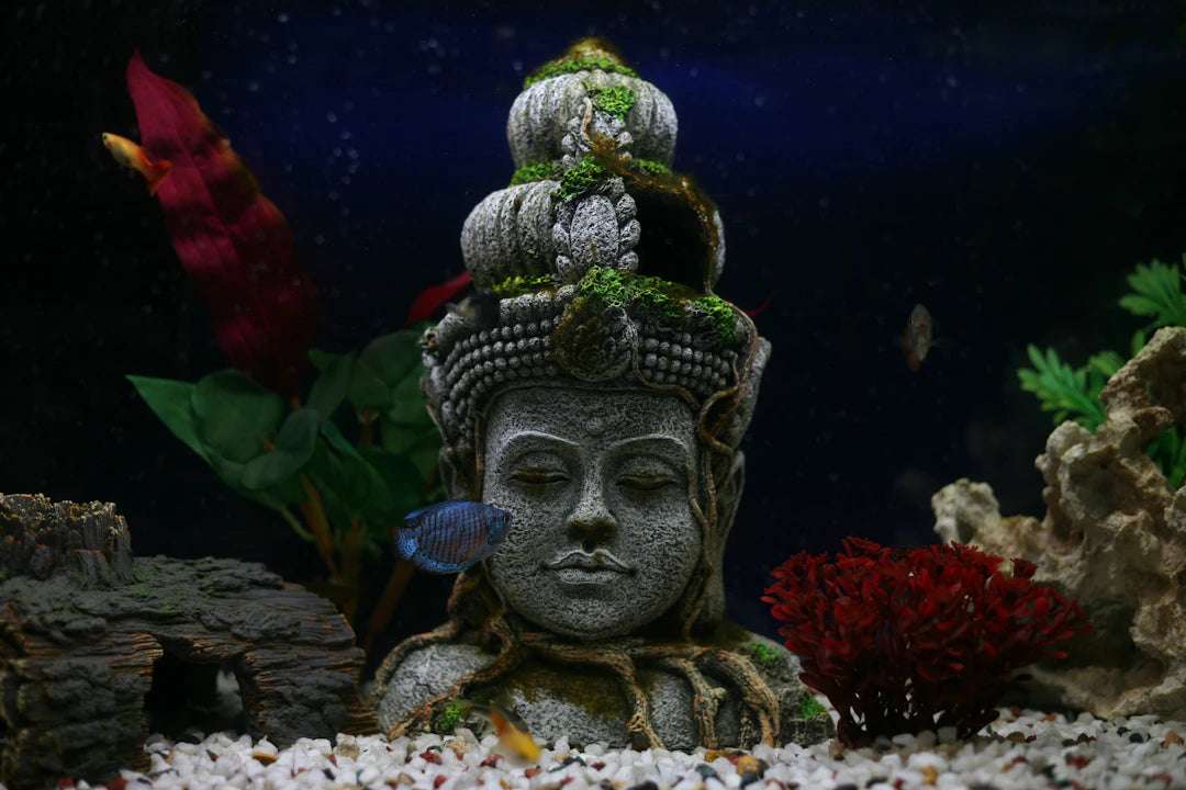 The Power of Social Media in Thai Amulet Culture - Thai Blessing Co By RURUECHA