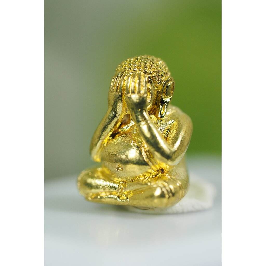 Phra Pidta Maha Lap Maha Baramee – Golden Blessings Edition by LP Prong, Wat Tham Pru Takhian (2018) - Thai Blessing Co