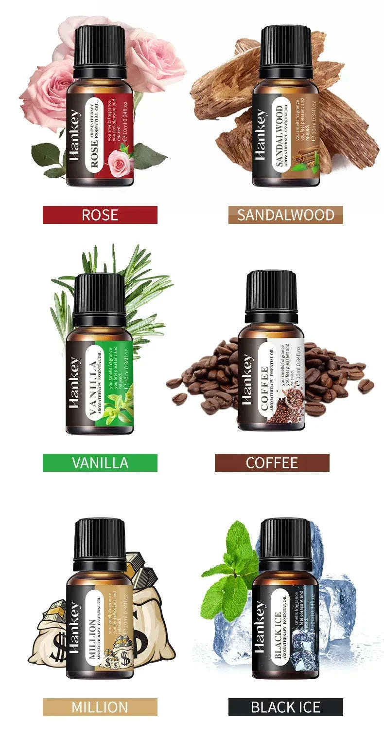 🌿 10ml Essential Oil Aromatherapy Gift Box – Water-Soluble Oils for Air Humidifiers Featuring Lavender, Rose, Eucalyptus, White Peach & Oolong Scents﻿