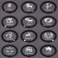 ✨ 12 Zodiac Constellation Signs Bracelet – Tiger Eye & Sparrow Picture Stone Beads – Virgo Charm Couple Jewelry for Men & Women 3 12 Pieces 8 mm Beads