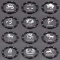 ✨ 12 Zodiac Constellation Signs Bracelet – Tiger Eye & Sparrow Picture Stone Beads – Virgo Charm Couple Jewelry for Men & Women 2 12 Pieces 8 mm Beads