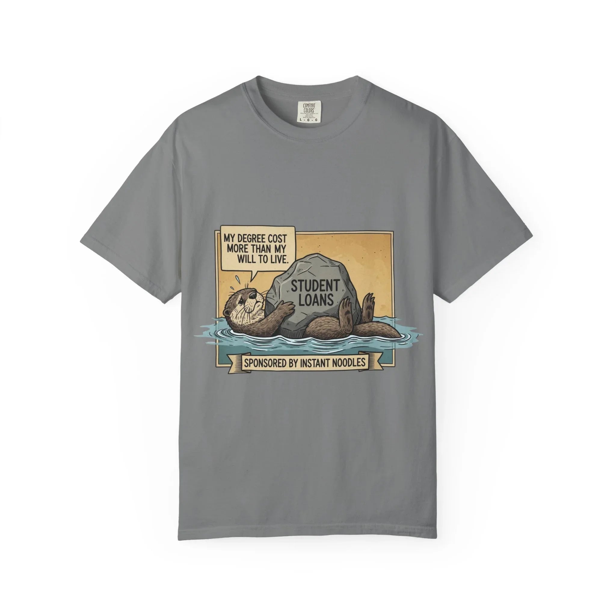 Funny Girl Math Shirt Hamster Saving Plan Tee Student Loan Otter Shirt Financially Stable Sloth Broke Life Gift Sarcastic Adulting Humor Grey