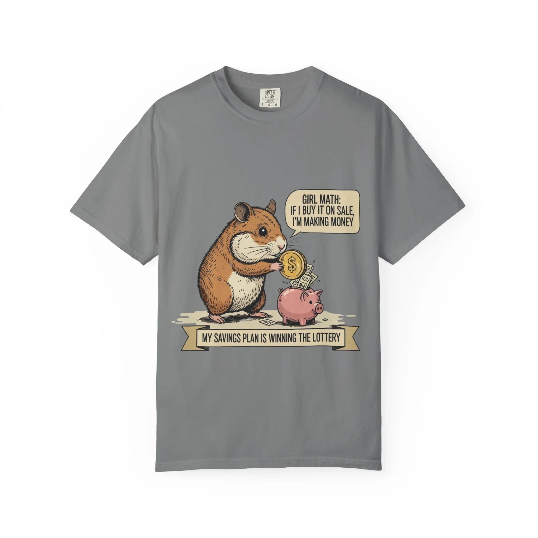 Funny Girl Math Shirt Hamster Saving Plan Tee Student Loan Otter Shirt Financially Stable Sloth Broke Life Gift Sarcastic Adulting Humor Grey