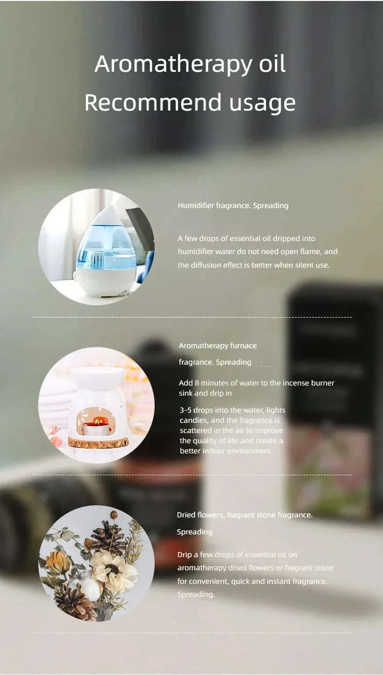🌟 17 Flavors 10ml Essential Oils for Aroma Diffuser – Water-Soluble Natural Fragrance Oils for Home and AirHumidifier﻿