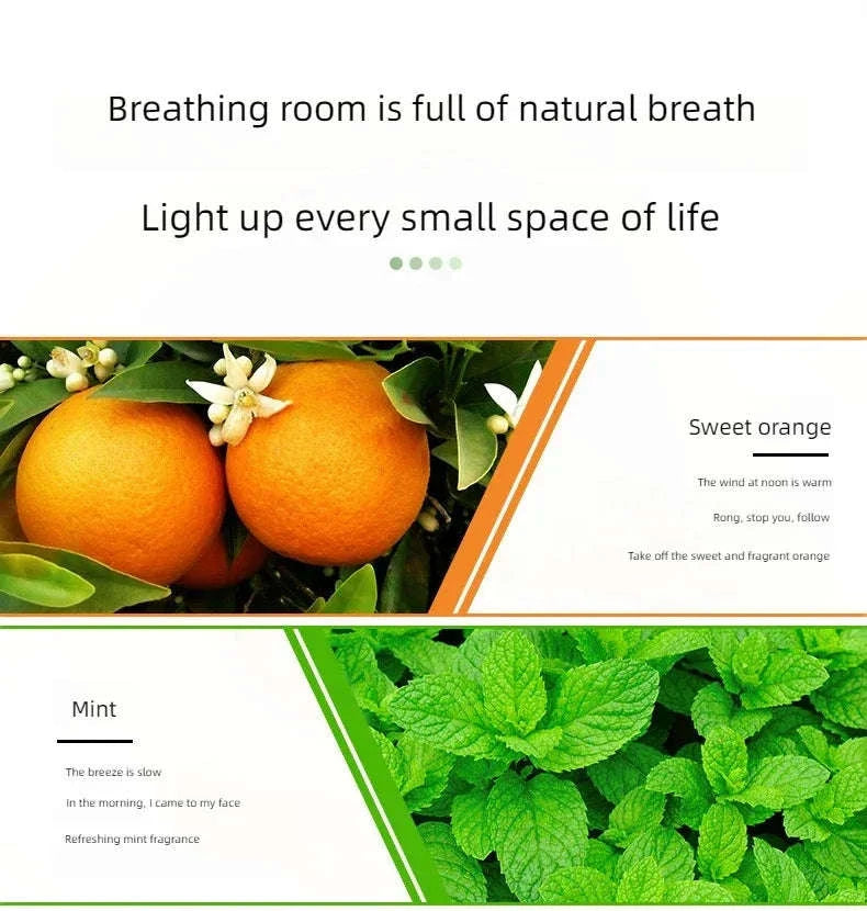 🌟 17 Flavors 10ml Essential Oils for Aroma Diffuser – Water-Soluble Natural Fragrance Oils for Home and AirHumidifier﻿