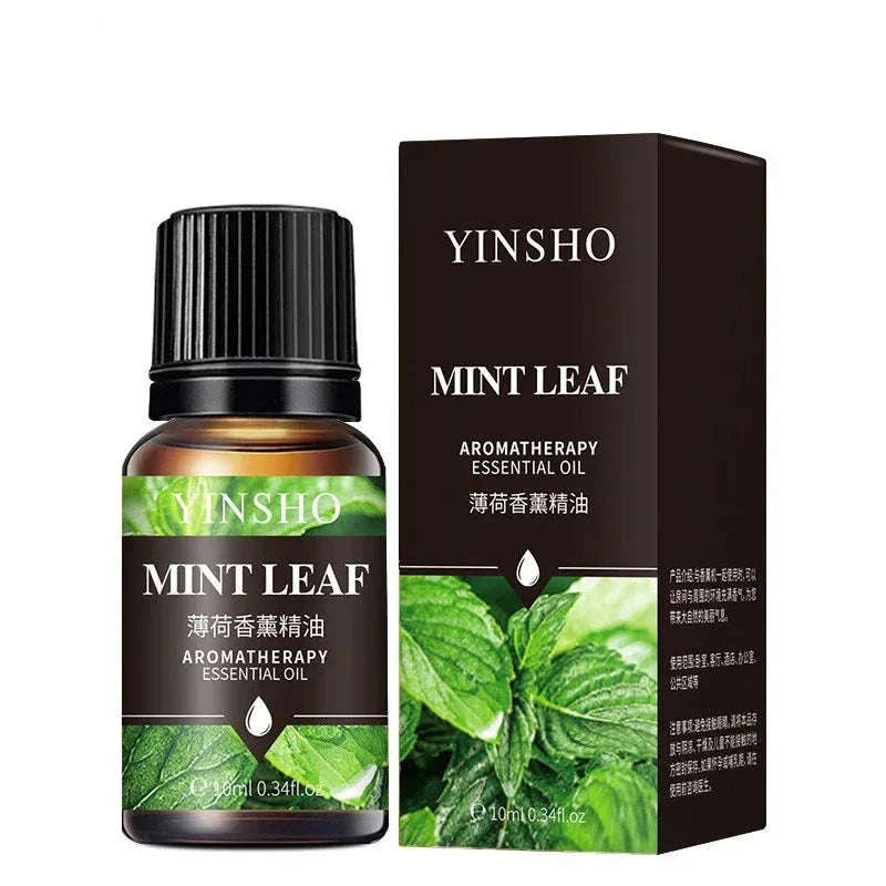 🌟 17 Flavors 10ml Essential Oils for Aroma Diffuser – Water-Soluble Natural Fragrance Oils for Home and AirHumidifier﻿ Mint