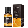 🌟 17 Flavors 10ml Essential Oils for Aroma Diffuser – Water-Soluble Natural Fragrance Oils for Home and AirHumidifier﻿ Orange