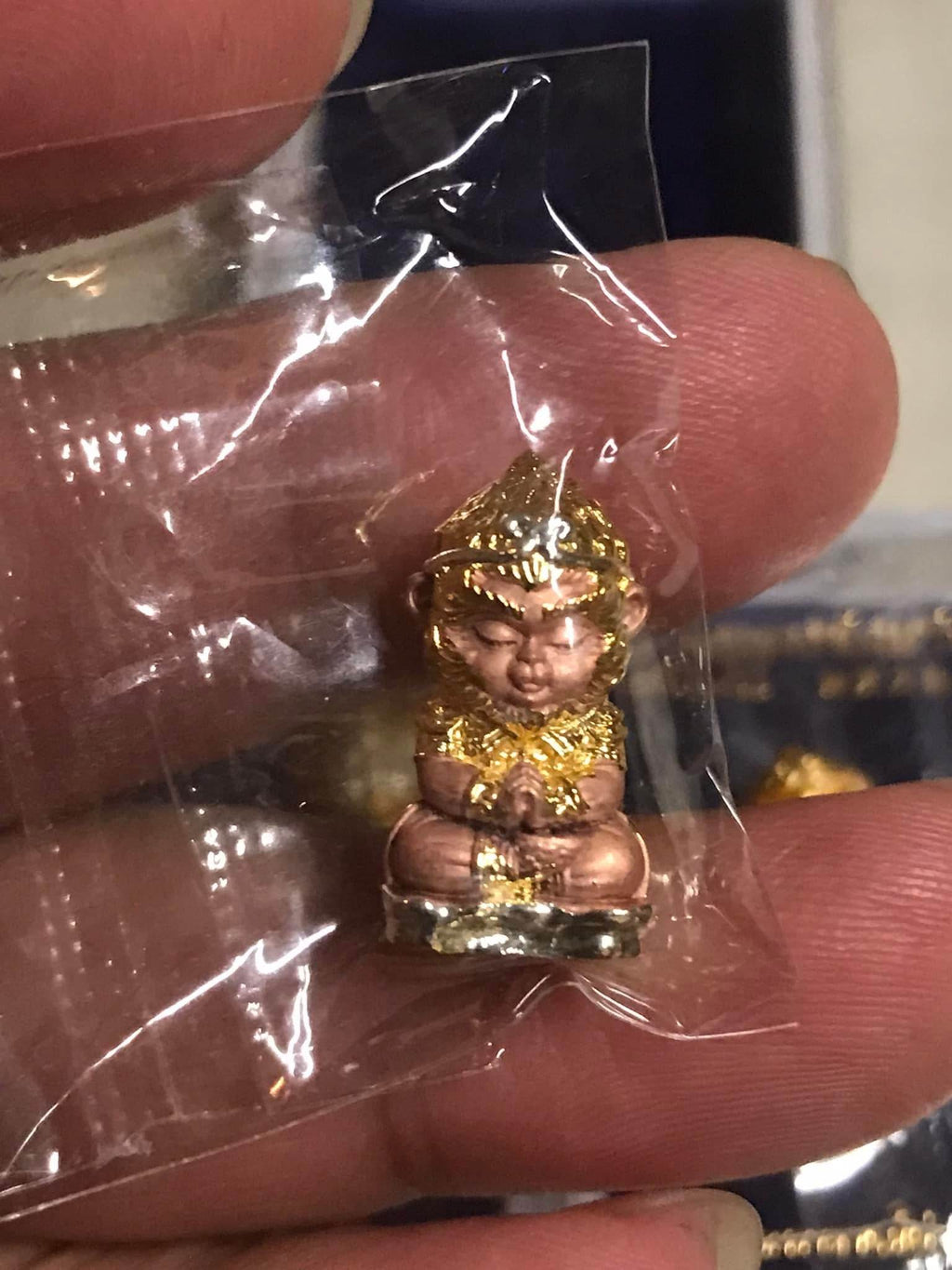 Hong Kong Monkey King Amulet – 100 Million Fortune Edition (2021) By Phra Ajarn Amnat, Mahaviro Meditation Center, Chaiyaphum Province - Thai Blessing Co
