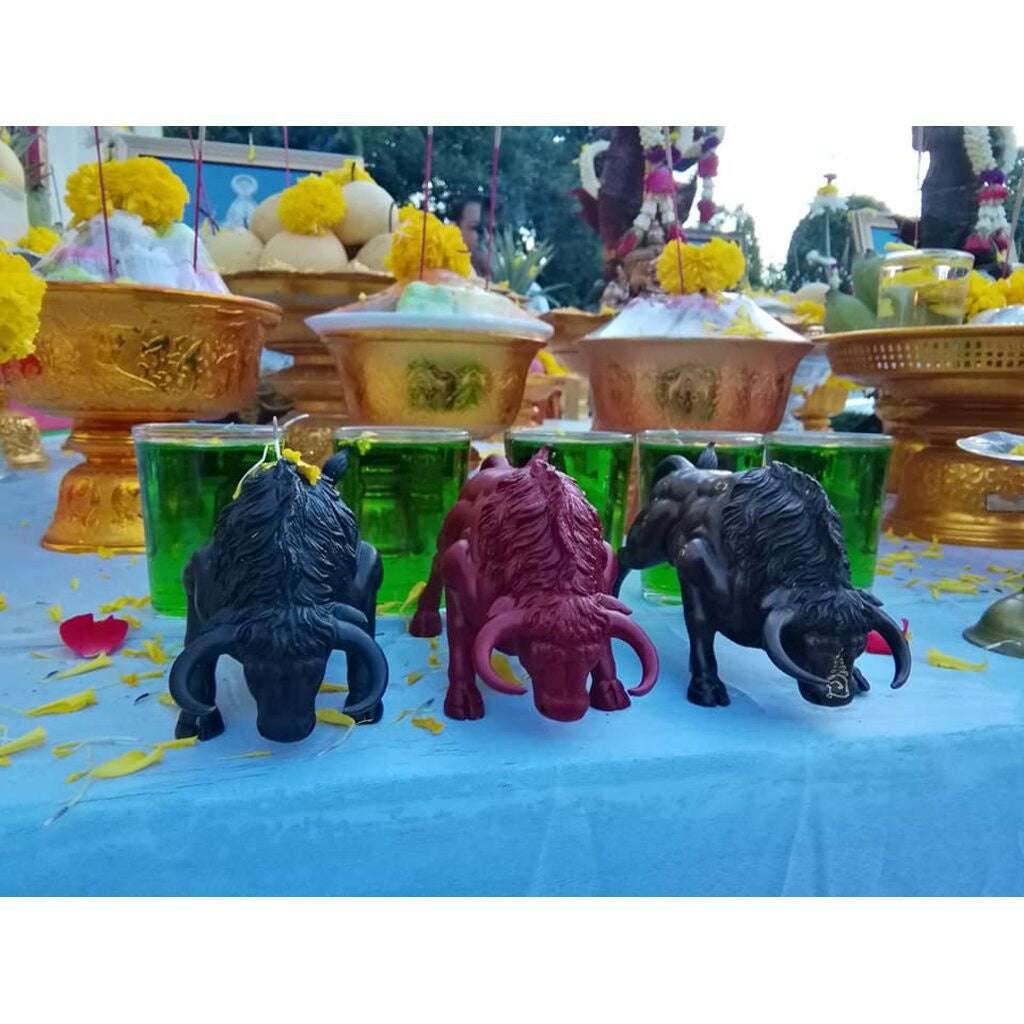 Krating Maha Amnat – Portable Power Bull Amulet with Silver Takrut from Wat Ban Or (2020 Limited Edition) - Thai Blessing Co
