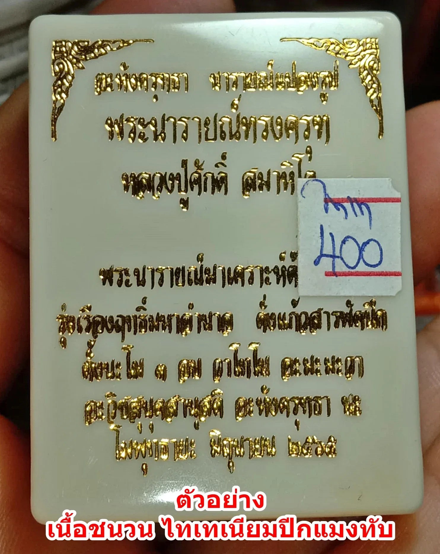 🪙 Narai on Garuda “Titanium Mystic Wings” – First Edition Chanuan Amulet with Beetle‑Wing Effect, Luang Pu Sak, Samahito