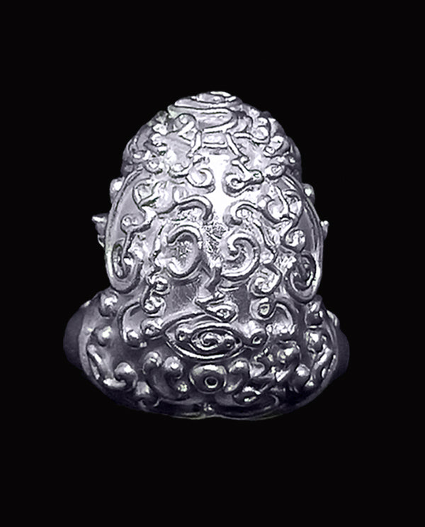 Miniature Iron-Floating Frog Amulet – Supreme Luck & Protection, Ancestral Wisdom from Doi Chom Wa, Blessed by Master Chao Sa U Wijing Ta