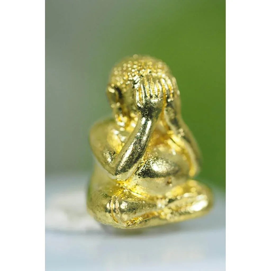 Phra Pidta Maha Lap Maha Baramee - Golden Blessings Edition by LP Prong, Wat Tham Pru Takhian 2018