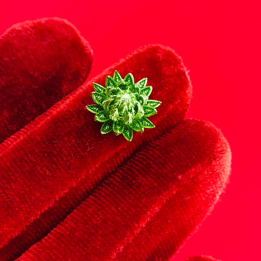 Sacred Pikul Flower Amulet – Prosperity & Blessing in Green Bronze