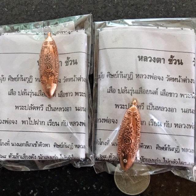 Ngern Pling (Money Leech) Amulet – Magnetic Wealth Attraction &amp; Prosperity Charm by Luang Ta Chuon | 2012 Edition - Thai Blessing Co