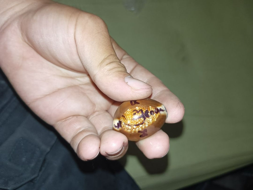 🪬Bia Gae Ultimate Curse Breaker Betta Shell Amulet – Mercury-Filled Anti-Sorcery Shield by Luang Pu Kaew