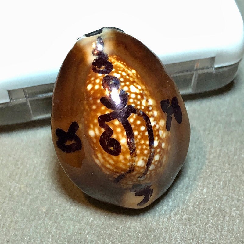 🪬Bia Gae Ultimate Curse Breaker Betta Shell Amulet – Mercury-Filled Anti-Sorcery Shield by Luang Pu Kaew