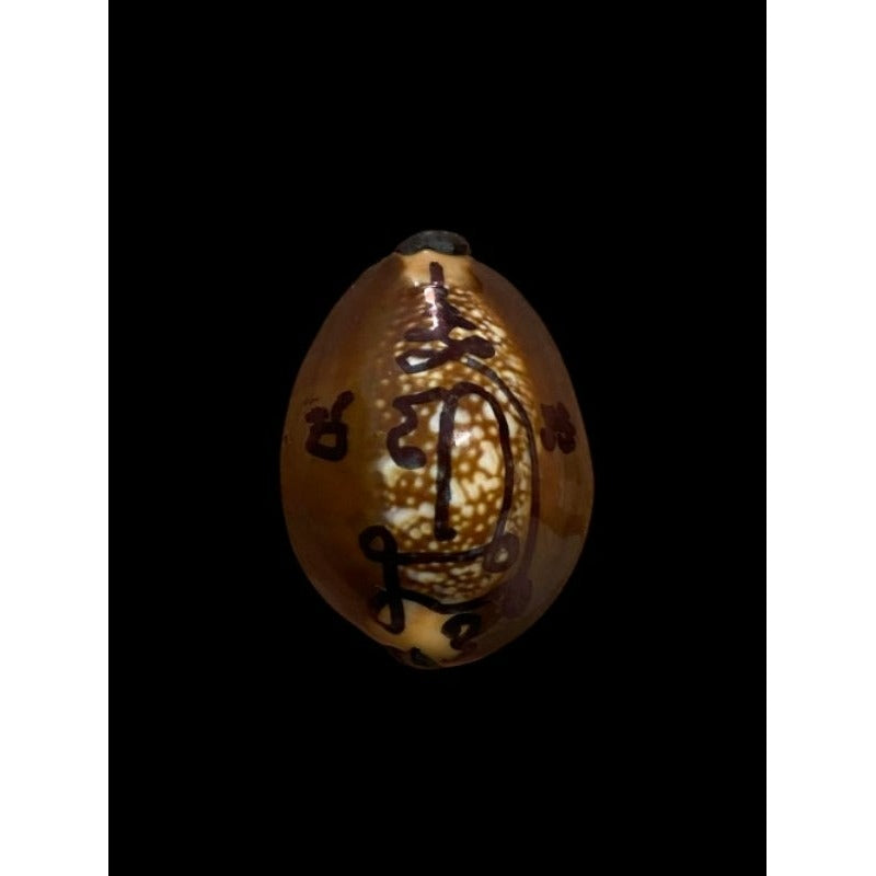 🪬Bia Gae Ultimate Curse Breaker Betta Shell Amulet – Mercury-Filled Anti-Sorcery Shield by Luang Pu Kaew