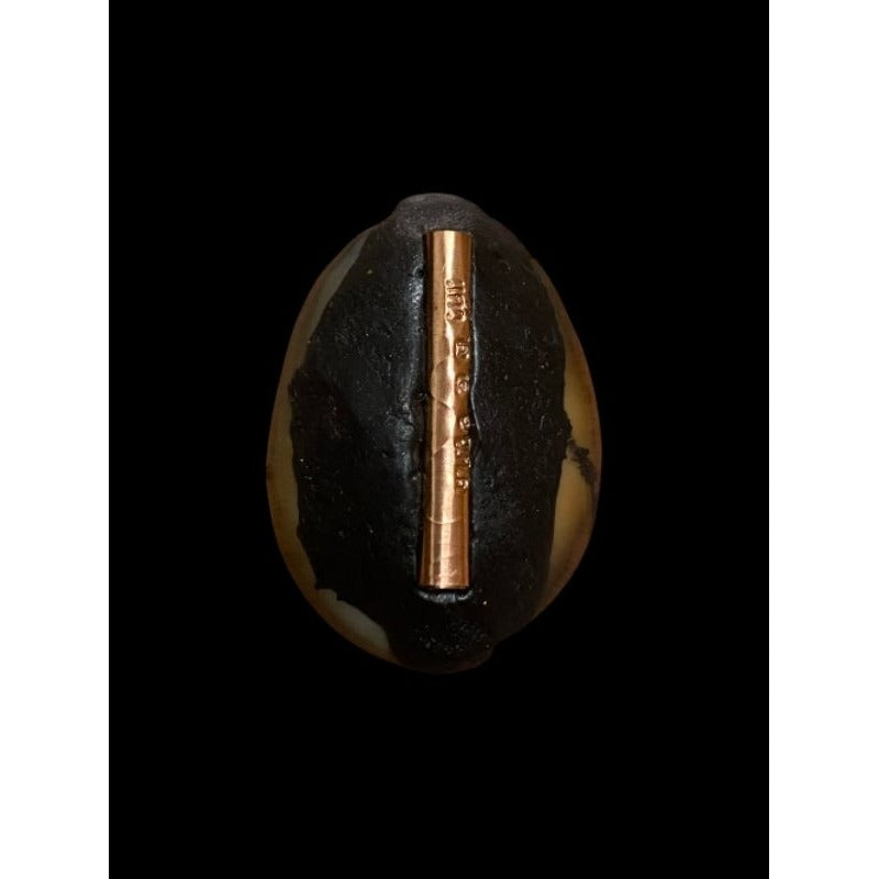 🪬Bia Gae Ultimate Curse Breaker Betta Shell Amulet – Mercury-Filled Anti-Sorcery Shield by Luang Pu Kaew