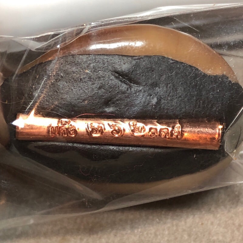 🪬Bia Gae Ultimate Curse Breaker Betta Shell Amulet – Mercury-Filled Anti-Sorcery Shield by Luang Pu Kaew