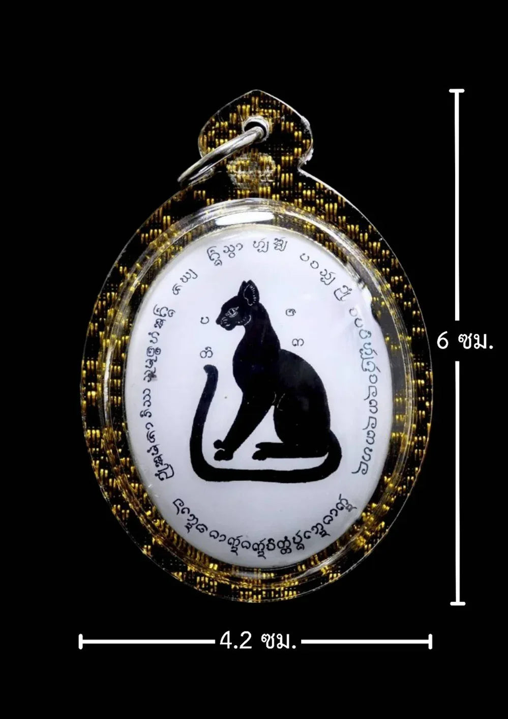 🐾 Stealthy Guardian of Fortune – Black Cat Locket by Chao Pan Ti for Ten-Direction Protection and Abundant Luck