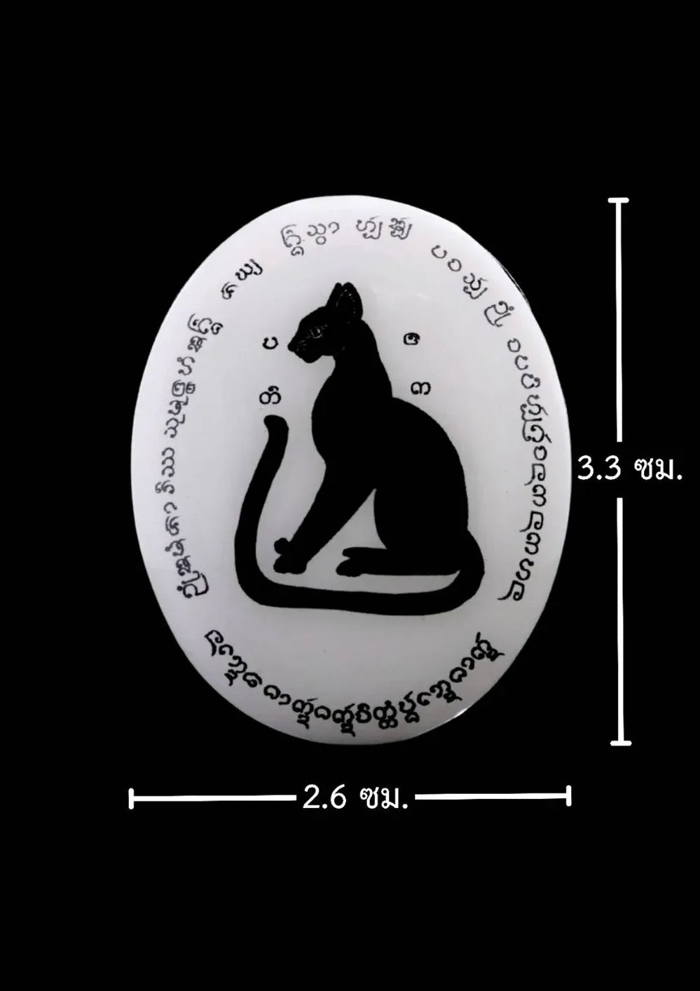 🐾 Stealthy Guardian of Fortune – Black Cat Locket by Chao Pan Ti for Ten-Direction Protection and Abundant Luck