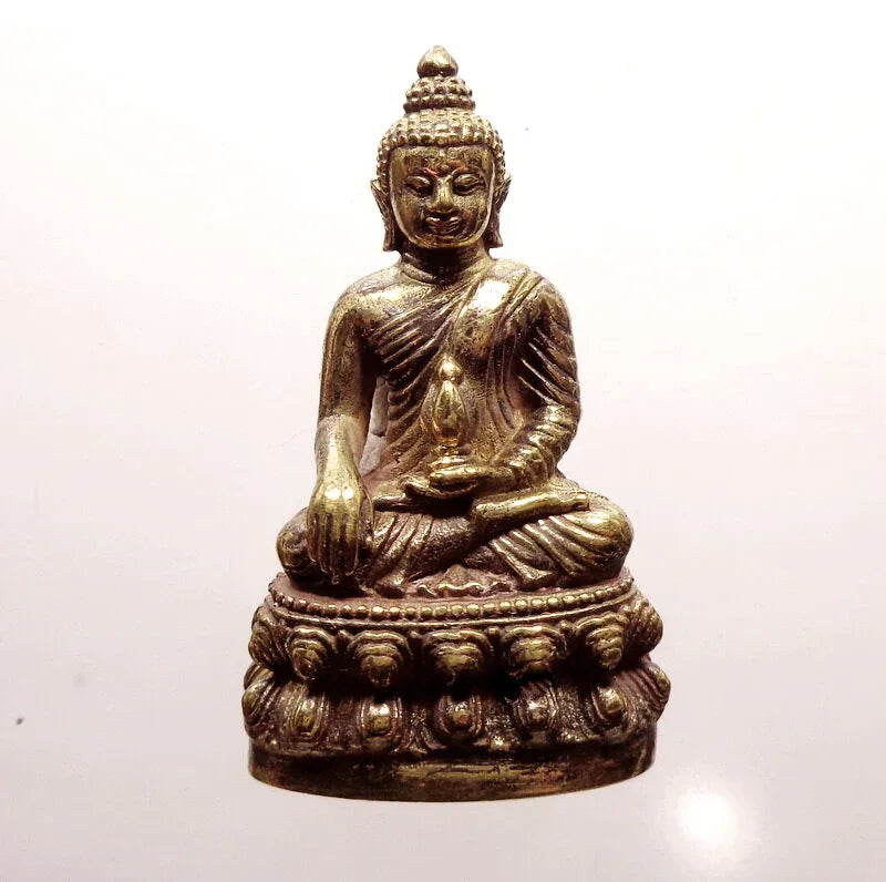 🪙 “Chao Sua Phra Kring – First Edition ‘Status Rising’ Wealth & Prestige Buddha by Luang Pho Khong, Wat Klang Bang Kaew (Nakhon Pathom)”