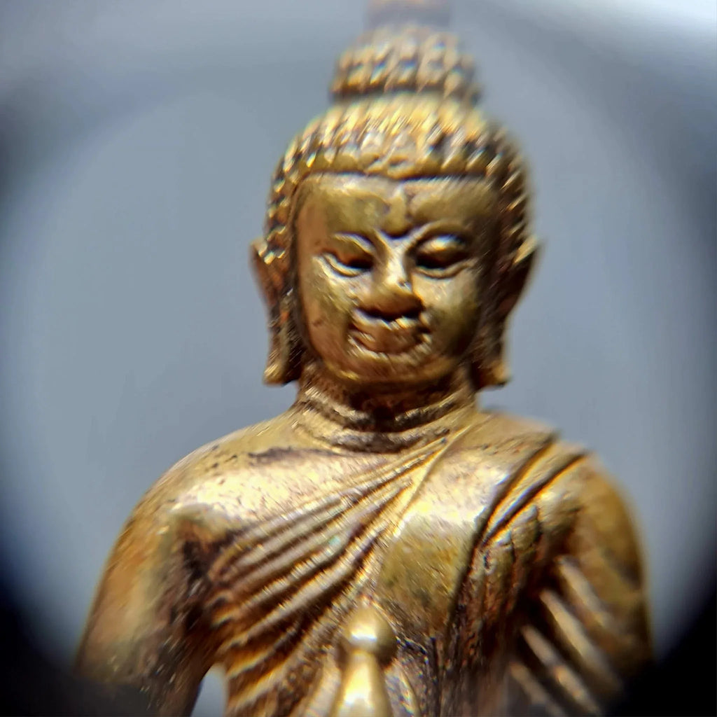 🪙 “Chao Sua Phra Kring – First Edition ‘Status Rising’ Wealth & Prestige Buddha by Luang Pho Khong, Wat Klang Bang Kaew (Nakhon Pathom)”
