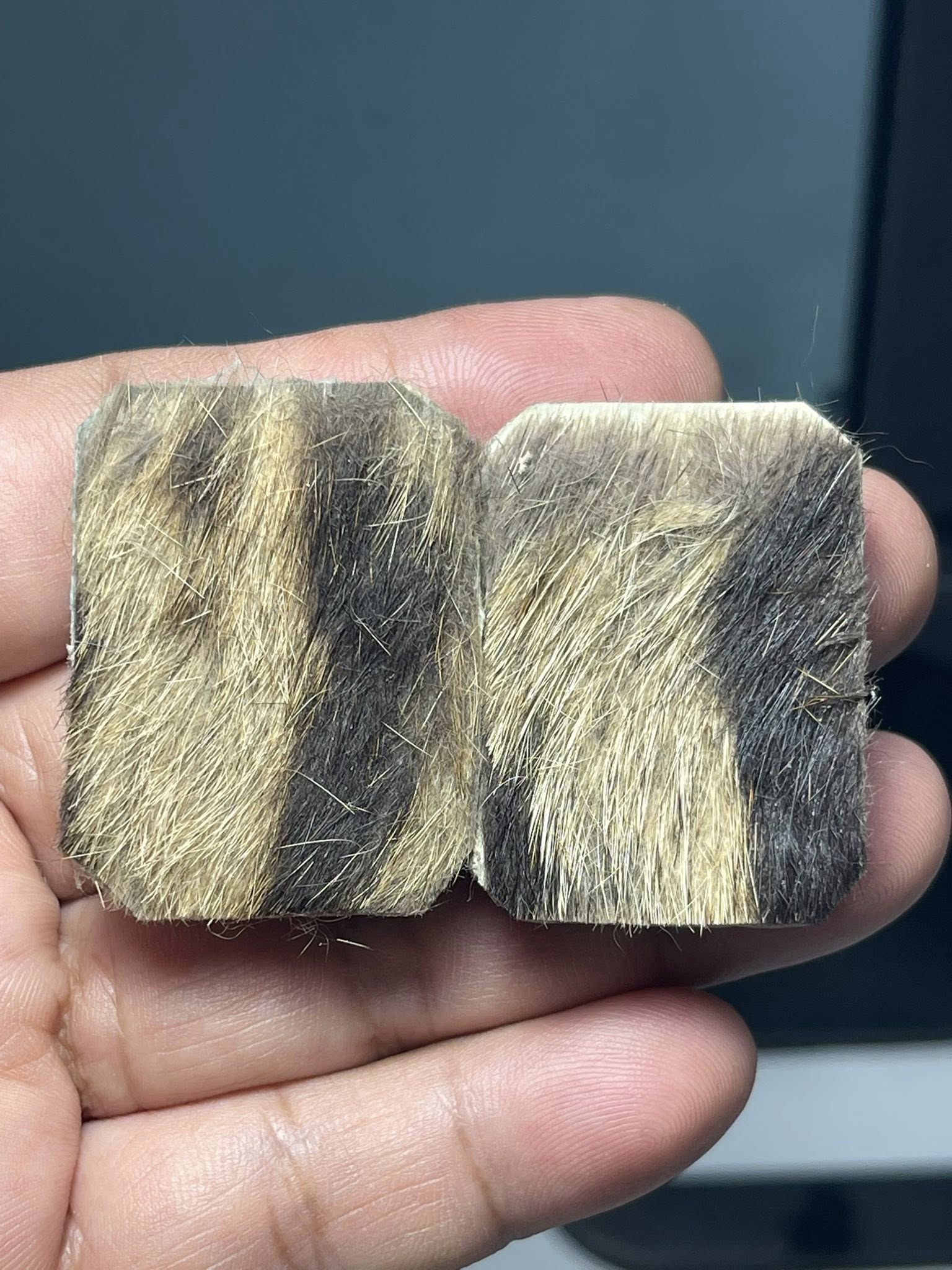 🧿 Ghost Bone Powder Phra Pidta – Supreme Love & Wealth Magnet by Ajarn Nipon, Wat Lon, Phatthalung (Top #1 Temple Bestseller)