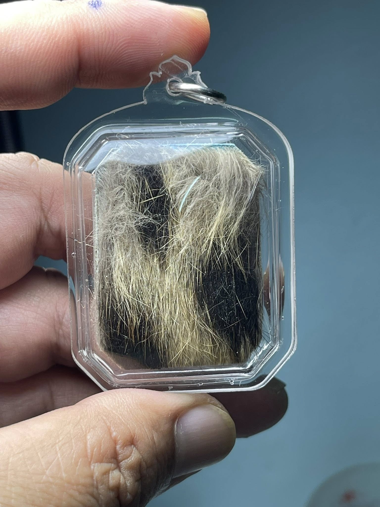 🧿 Ghost Bone Powder Phra Pidta – Supreme Love & Wealth Magnet by Ajarn Nipon, Wat Lon, Phatthalung (Top #1 Temple Bestseller)