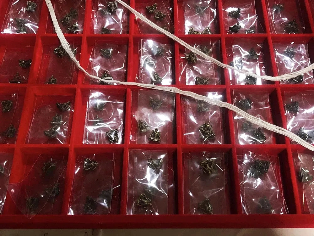 🌌 Supreme Wish-Granting Deity: "Pu Kai Kaew" Locket by Ajarn Nan Kong (Lanna Magic) – Unlock Wealth & Influence