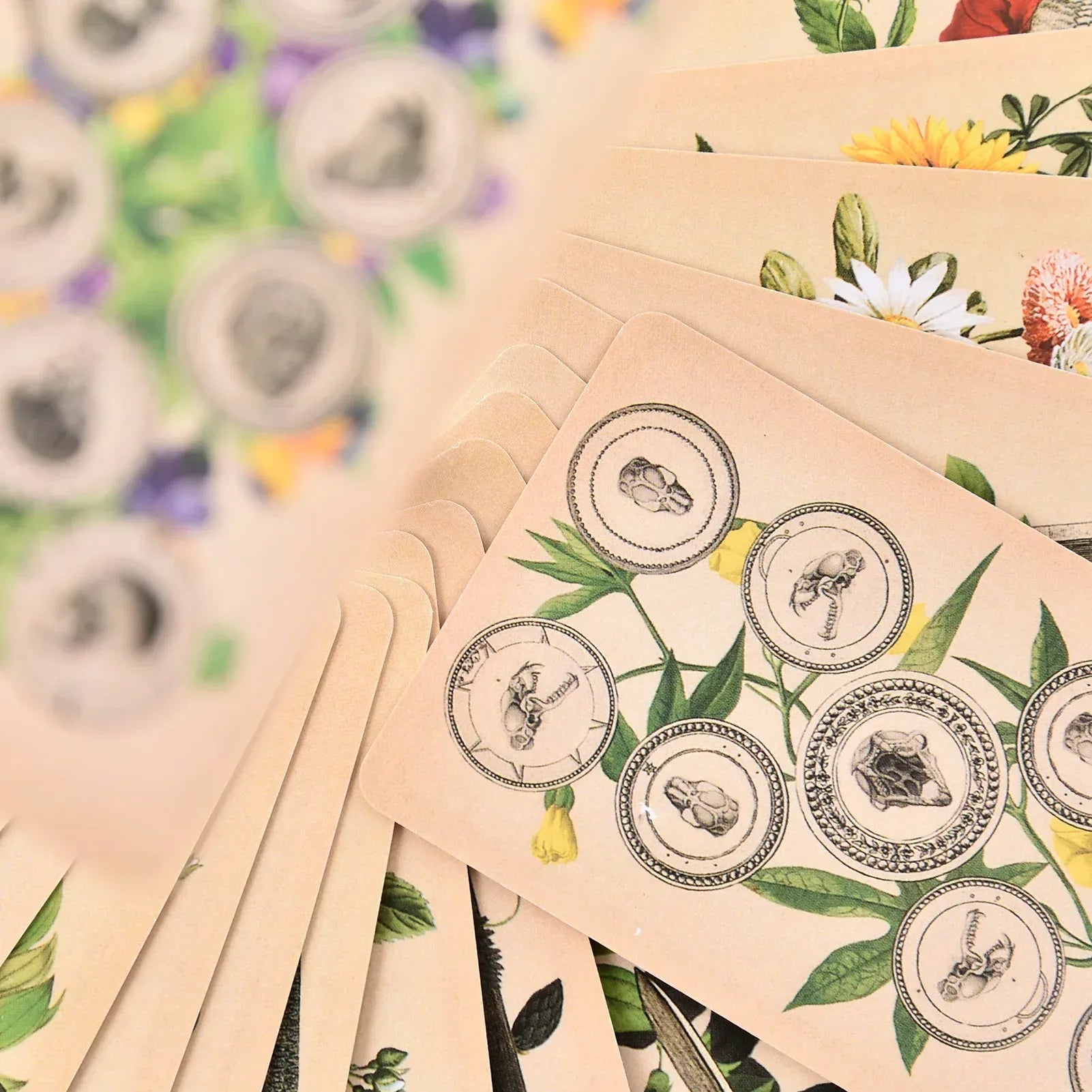 The Antique Anatomy Tarot – 78-Card Deck with Detailed Guidebook in English for Personal Use & Board Games