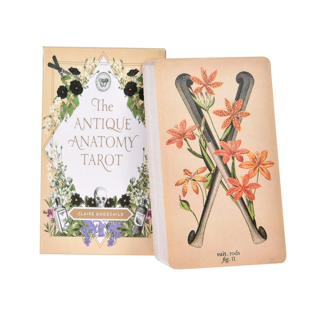 The Antique Anatomy Tarot – 78-Card Deck with Detailed Guidebook in English for Personal Use & Board Games