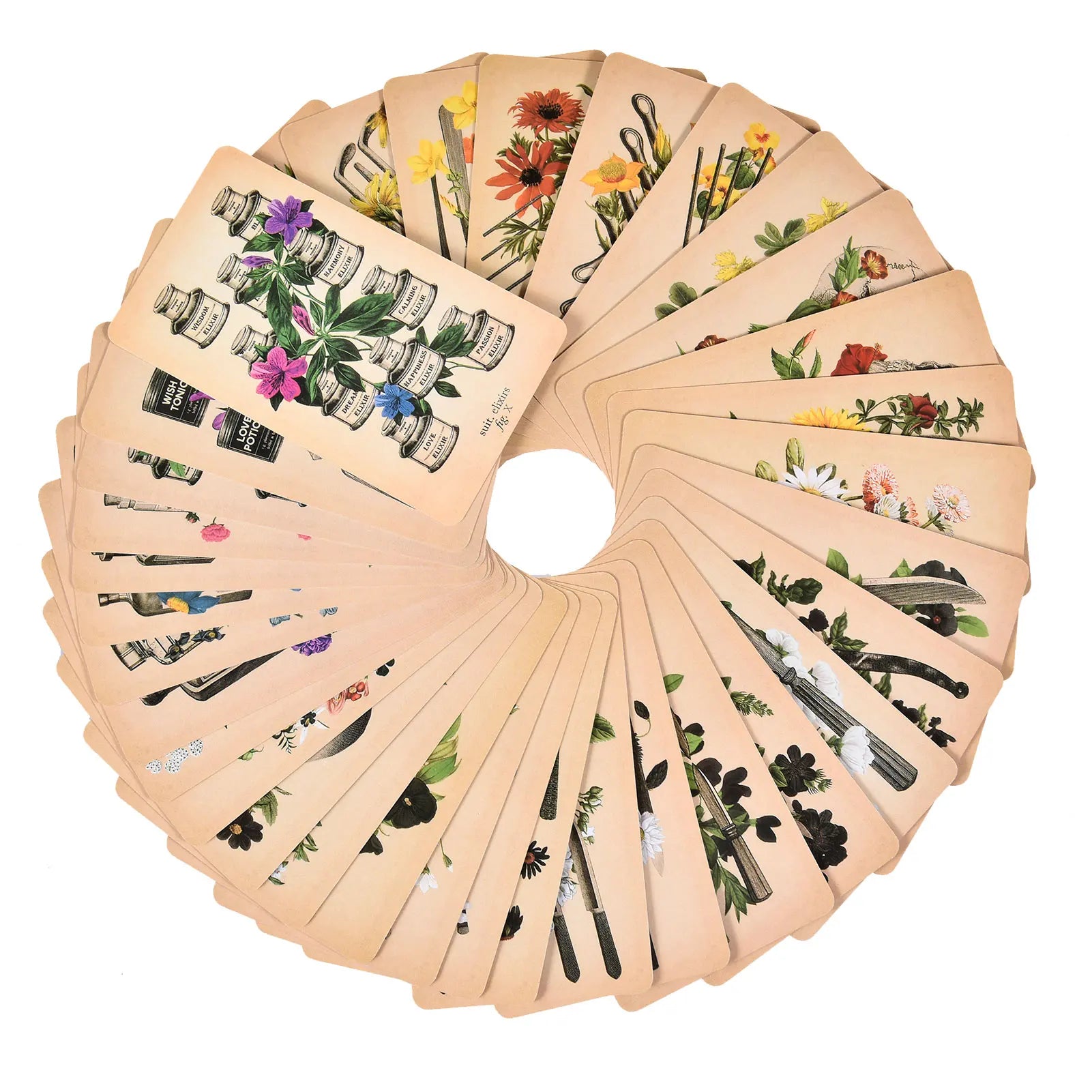 The Antique Anatomy Tarot – 78-Card Deck with Detailed Guidebook in English for Personal Use & Board Games