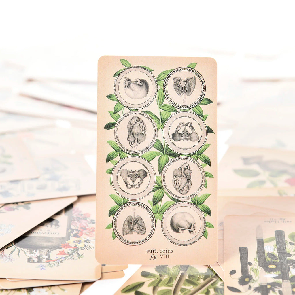 The Antique Anatomy Tarot – 78-Card Deck with Detailed Guidebook in English for Personal Use & Board Games