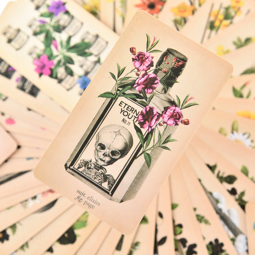 The Antique Anatomy Tarot – 78-Card Deck with Detailed Guidebook in English for Personal Use & Board Games