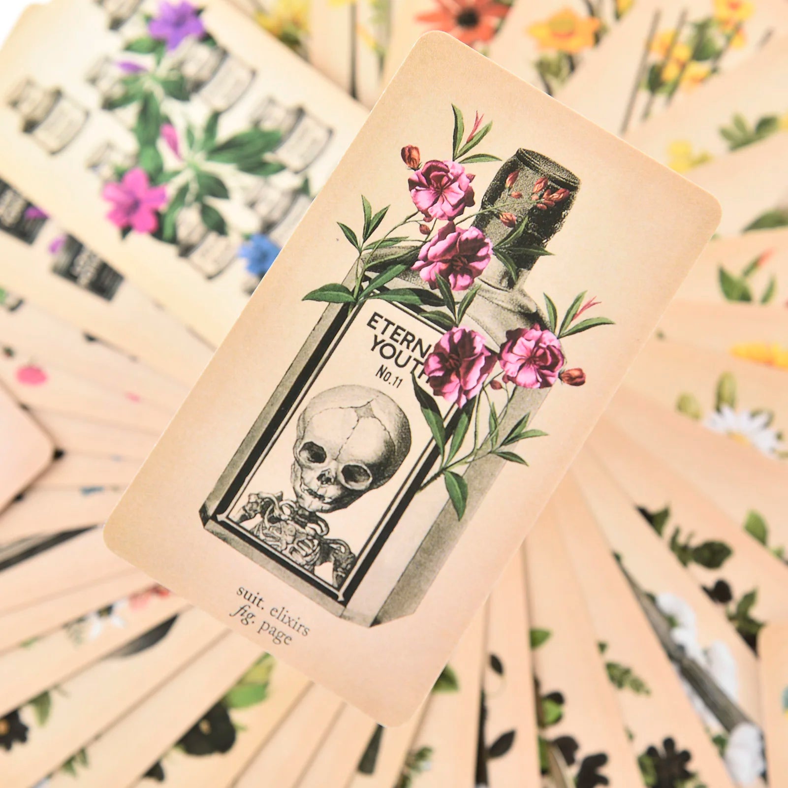 The Antique Anatomy Tarot – 78-Card Deck with Detailed Guidebook in English for Personal Use & Board Games