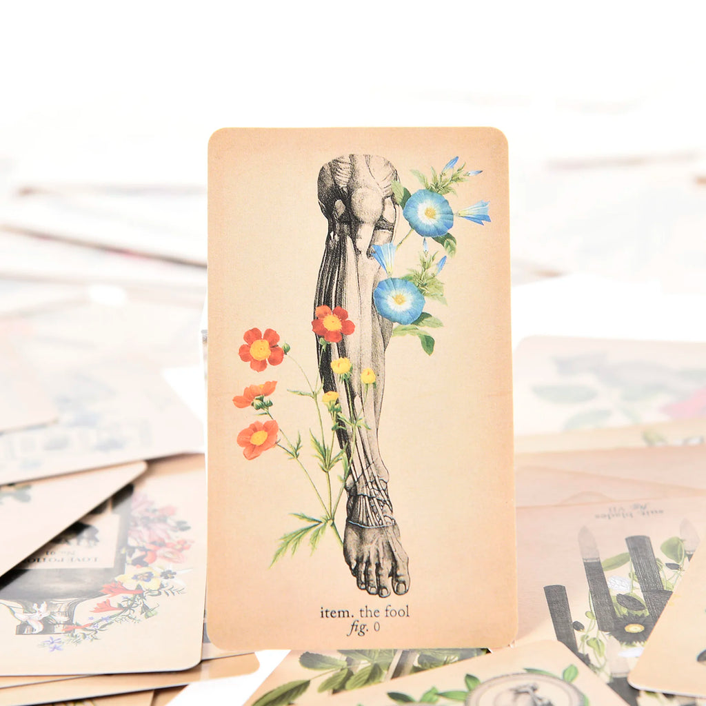 The Antique Anatomy Tarot – 78-Card Deck with Detailed Guidebook in English for Personal Use & Board Games