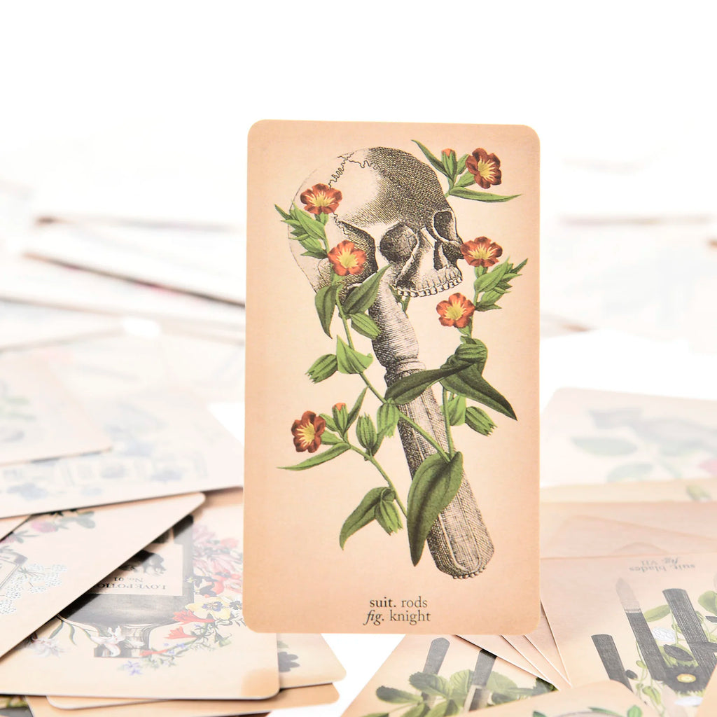 The Antique Anatomy Tarot – 78-Card Deck with Detailed Guidebook in English for Personal Use & Board Games