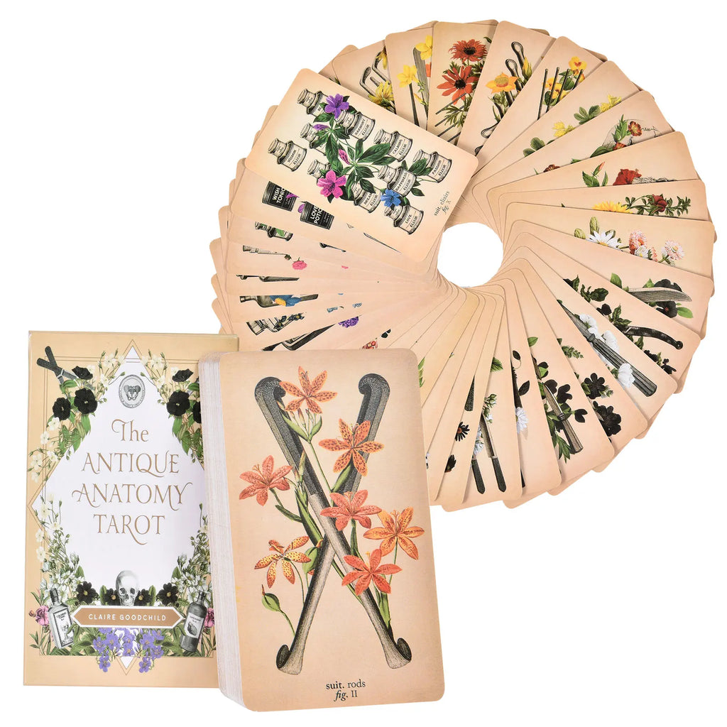 The Antique Anatomy Tarot – 78-Card Deck with Detailed Guidebook in English for Personal Use & Board Games