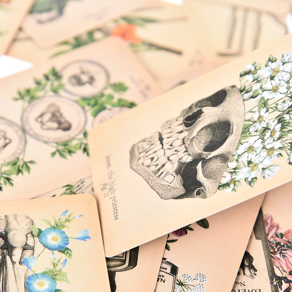 The Antique Anatomy Tarot – 78-Card Deck with Detailed Guidebook in English for Personal Use & Board Games