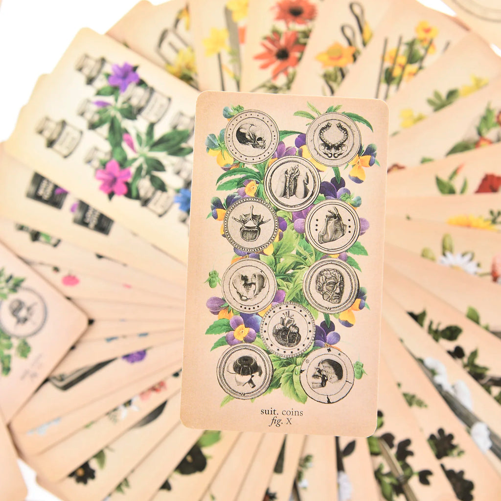 The Antique Anatomy Tarot – 78-Card Deck with Detailed Guidebook in English for Personal Use & Board Games