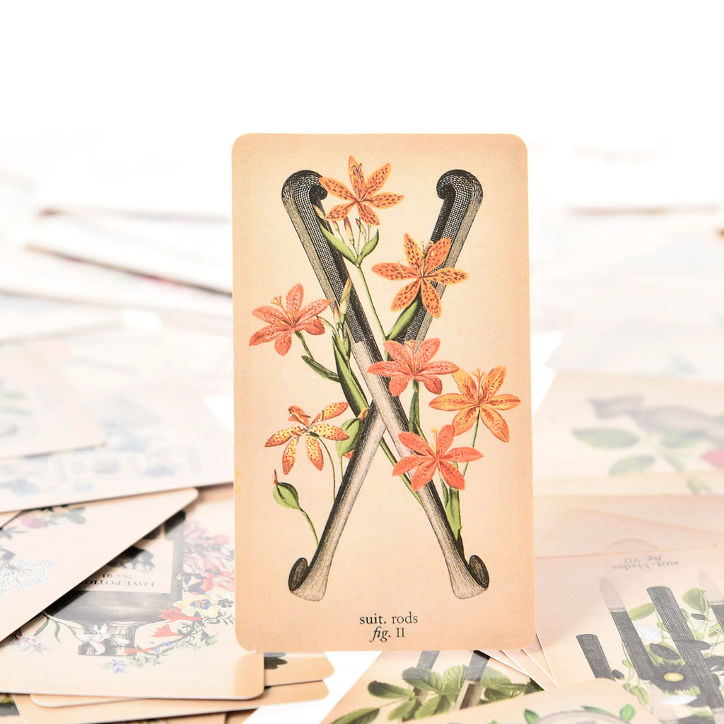 The Antique Anatomy Tarot – 78-Card Deck with Detailed Guidebook in English for Personal Use & Board Games