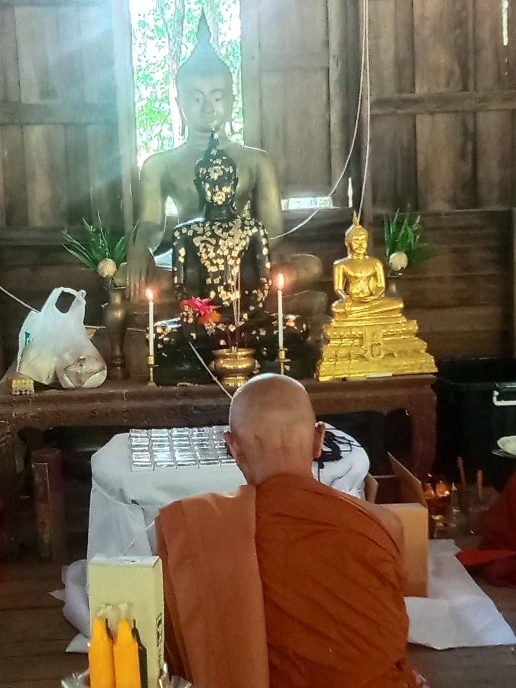 🐆 Leaping Tiger Takrud Amulet – Luang Pu Kaew, Wat Kaeng Din So, Prachinburi