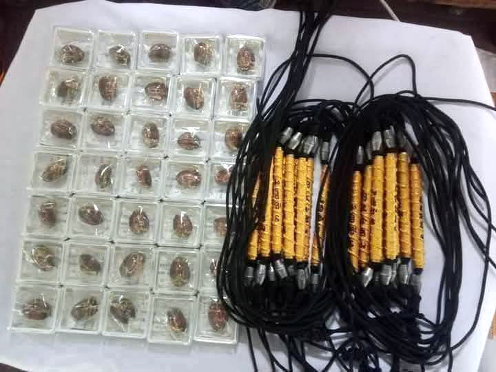 🐆 Leaping Tiger Takrud Amulet – Luang Pu Kaew, Wat Kaeng Din So, Prachinburi