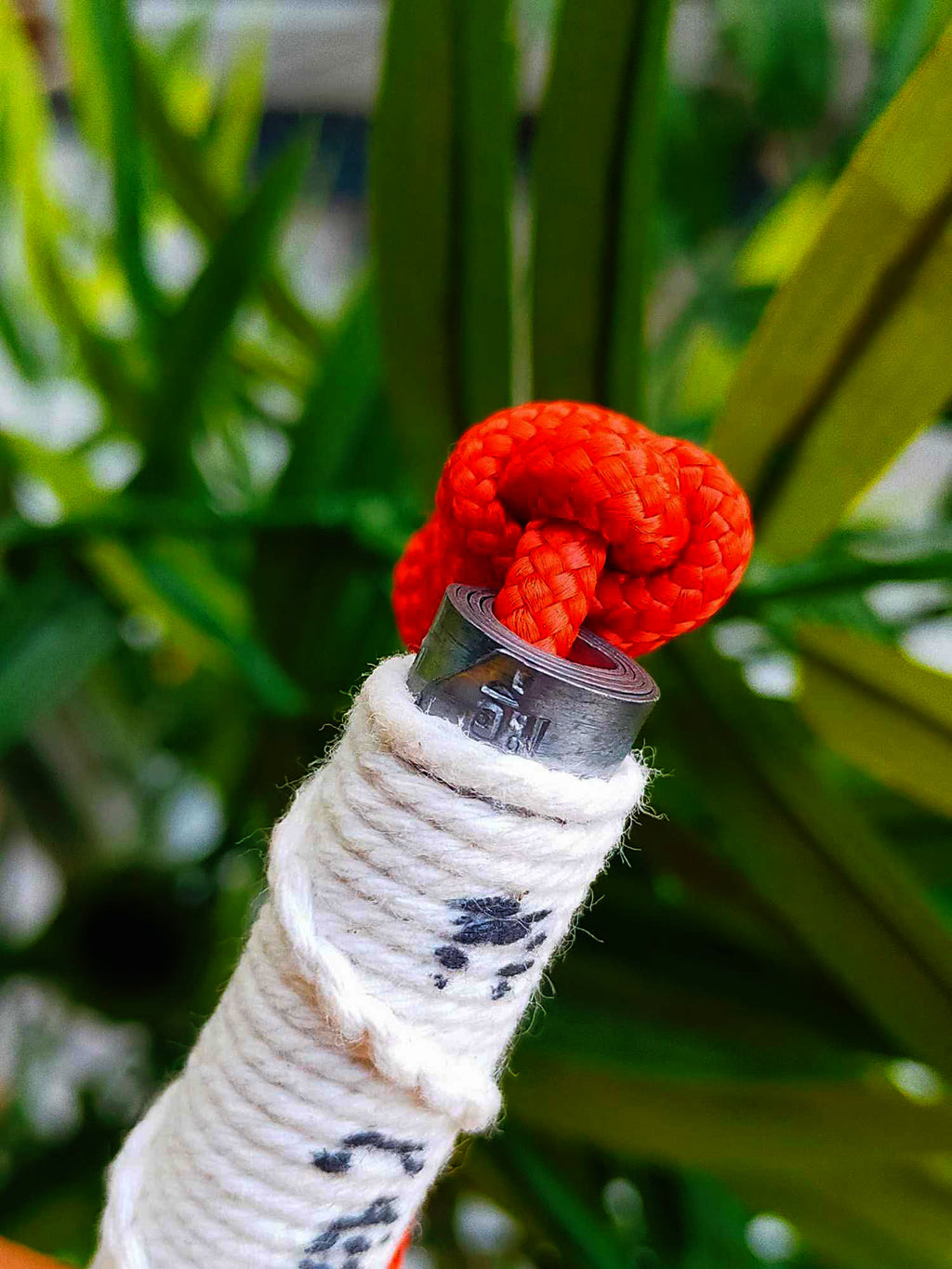 🦁 Leaping Tiger Takrud – Supreme Authority & Invincibility Waist Amulet by Luang Pu Im, Wat Thung Na Mai