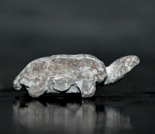 ✨ Fortunate Protector – Miniature Turtle Amulet by Phra Kru Noi for Wealth, Luck & Spiritual Defense