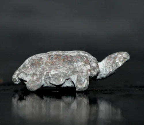 ✨ Fortunate Protector – Miniature Turtle Amulet by Phra Kru Noi for Wealth, Luck & Spiritual Defense